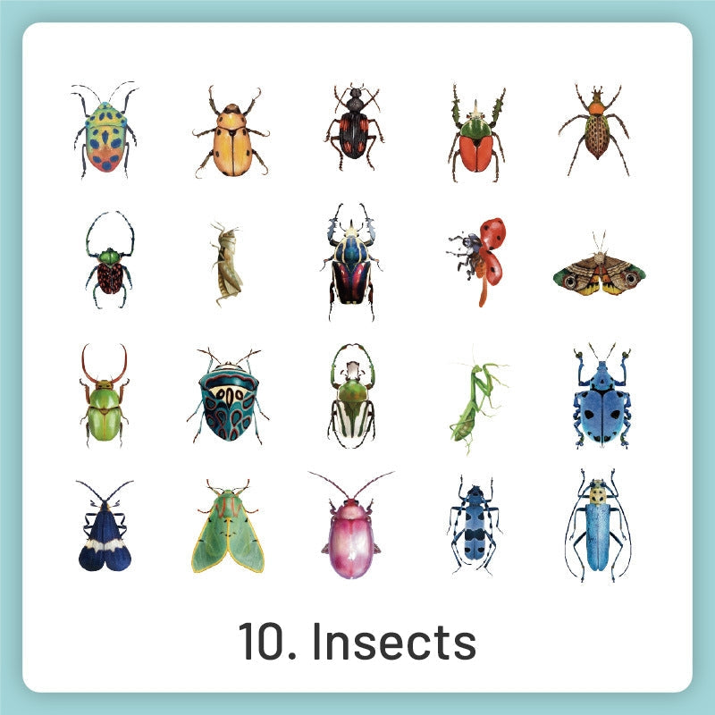 Natural History Museum Insect and Plant Vinyl Stickers