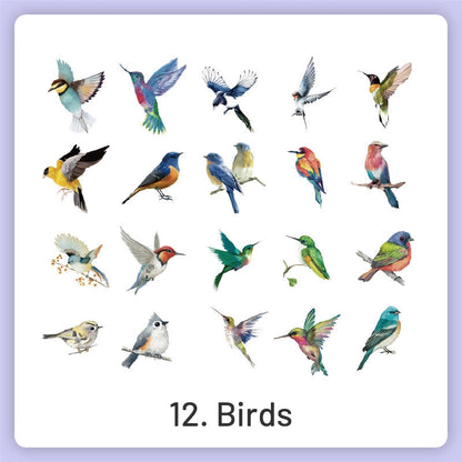 Natural History Museum Insect and Plant Vinyl Stickers