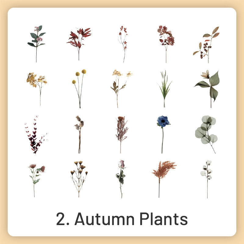 Natural History Museum Insect and Plant Vinyl Stickers