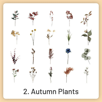 Natural History Museum Insect and Plant Vinyl Stickers