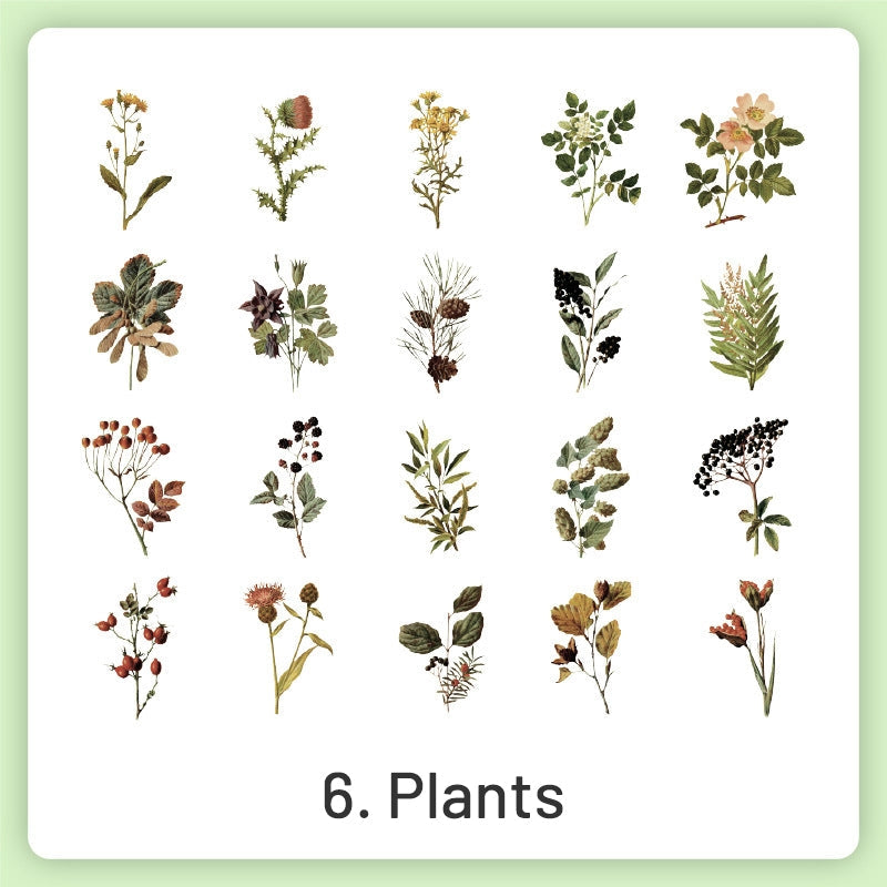 Natural History Museum Insect and Plant Vinyl Stickers