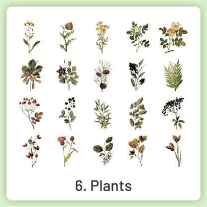 Natural History Museum Insect and Plant Vinyl Stickers